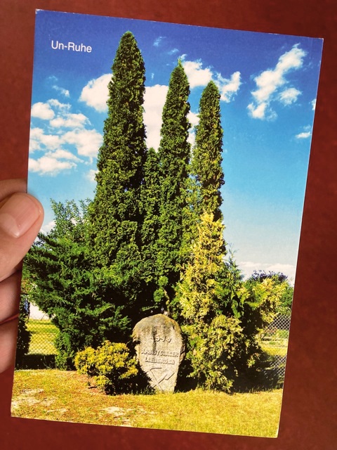 Alexander_Steig_Un_Ruhe