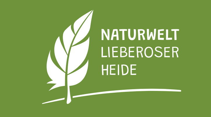 Naturwelt Lieberoser Heide
